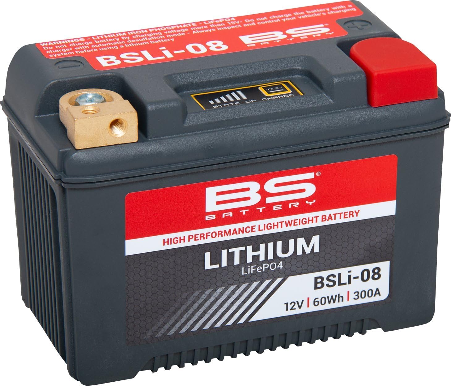 BS BATTERY 360108 Lithium Battery - 12V - 5ah - BSLI08