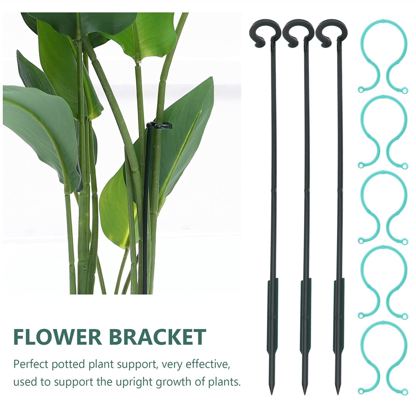 Saturey Tuteur Plante 1 Ensemble de tiges de Fixation de Plantes en Pot de Fleurs Polonais Bonsaï Support (Vert) Support pour Plantes De Jardin