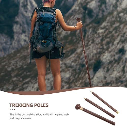 Miniatura 9 de COHEALI Bastón de caminar desmontable para personas mayores, bastón de caminar ajustable en altura para mujeres, hombres y personas mayores, al aire