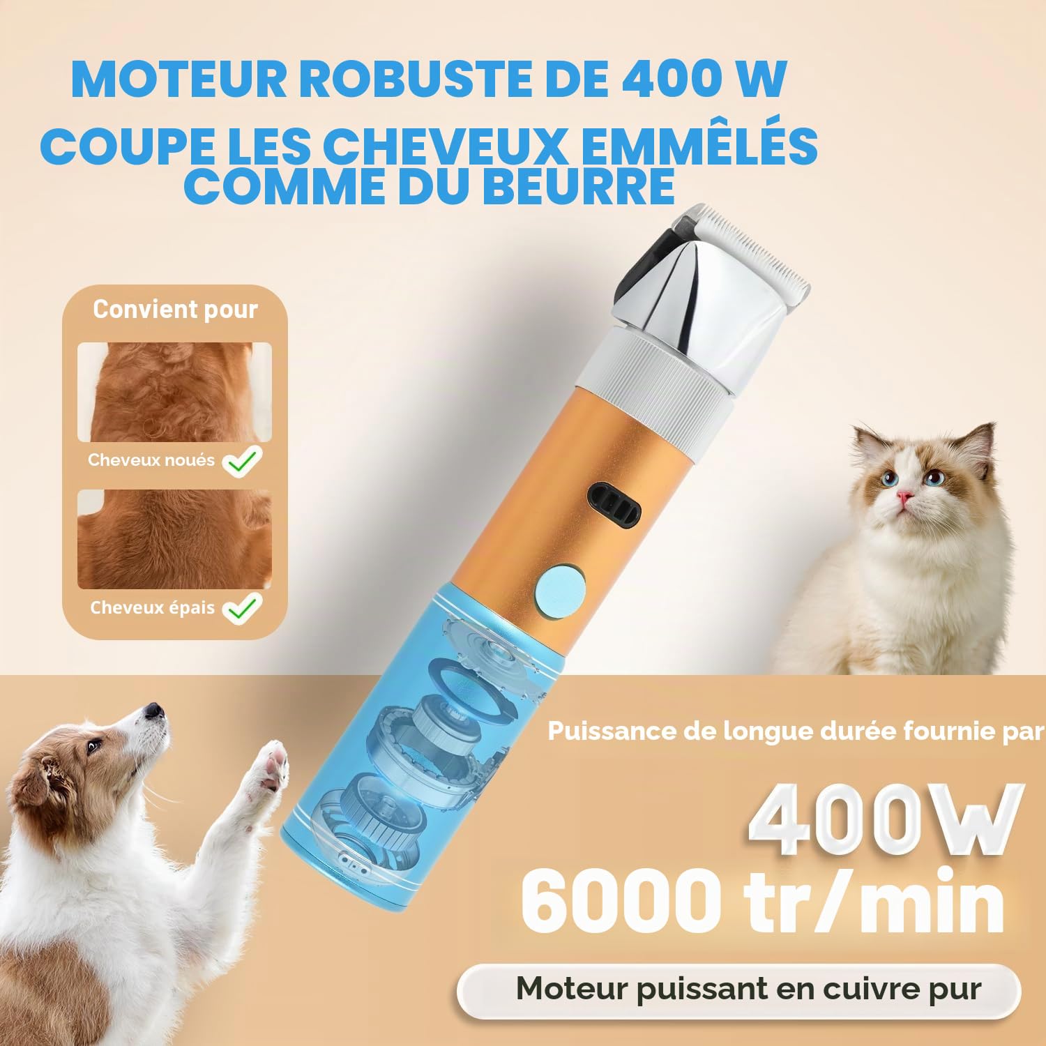 CGOLDENWALL 400W Tondeuse Chien Tondeuse à Moutons Électrique Rechargeable Tête de Coupe Peigne Limite Intégrés Amovible 5H en Veille Faible Bruit (3MM+6MM) | Professionnelle, <50dB, 5h Veille, Rechargeable, Anti-Poils Longs, Tous Poils