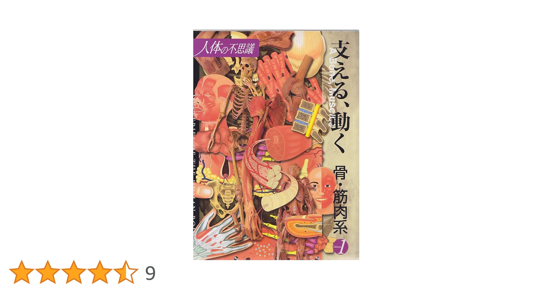 支える、動く 骨・筋肉系 人体の不思議 Amazon.co.jp: 支える、動く骨・筋肉系 (人体の不思議 Volume 1