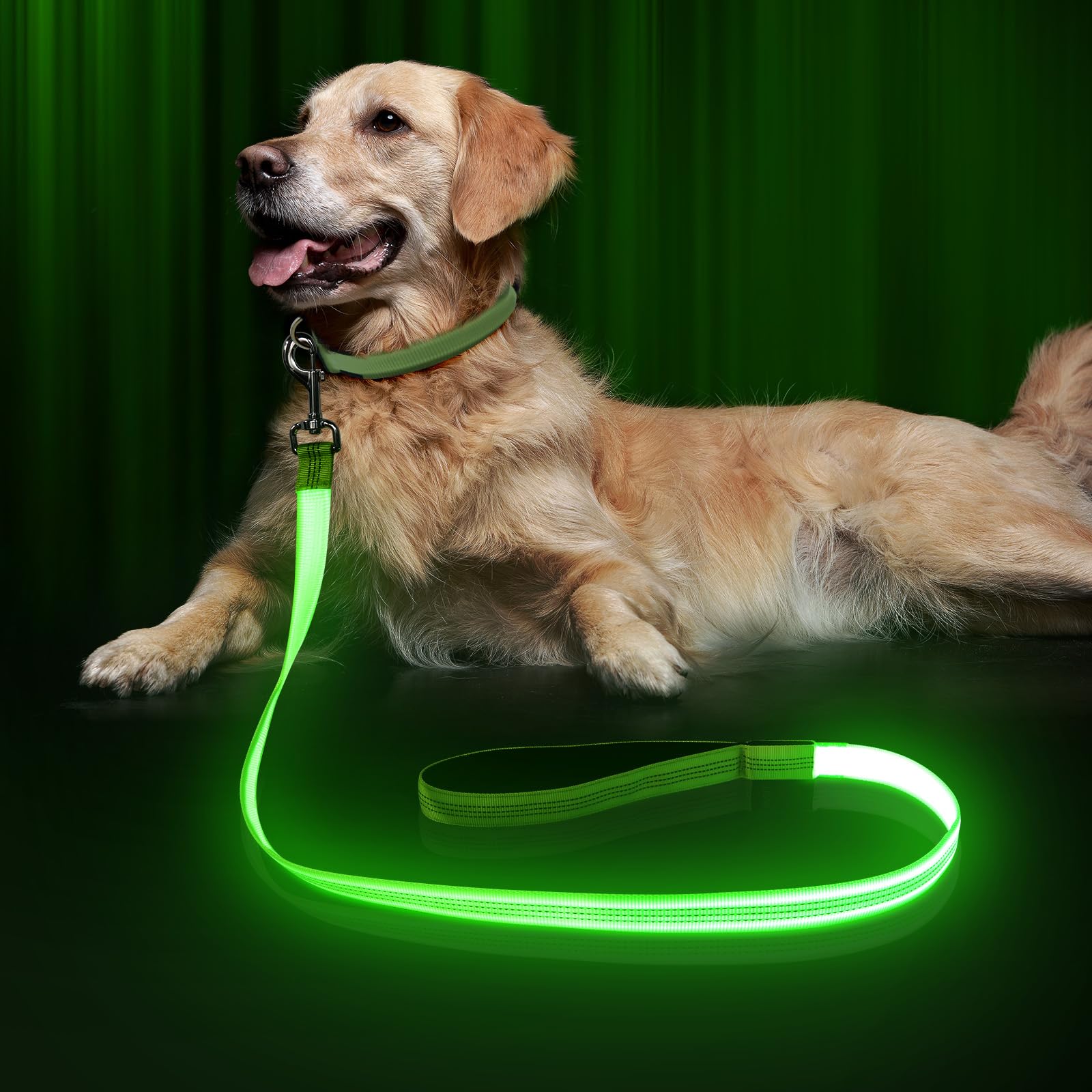 LED Dog Leash, Bpawser Light Up Dog Leash Micro USB Rechargeable