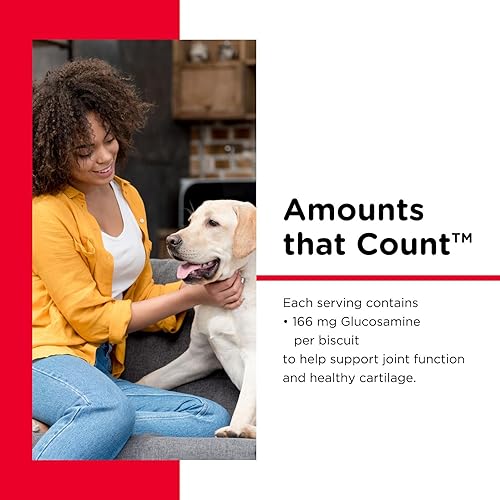 Miniatura 3 de Nutri-Vet Galletas de cadera y articulaciones para perros, sabrosas golosinas de glucosamina para perros y suplemento para articulaciones de perros,