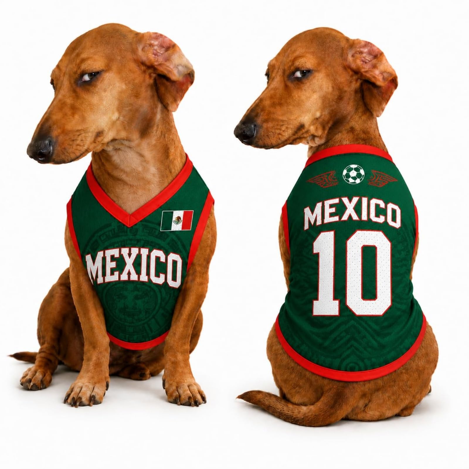 Custom Dog Football Jersey with Name Number Logo, Personalised 2026 Pet Jersey, Breathable Quick Dry T-Shirt for Small Medium Large Dogs, Gift for Fans