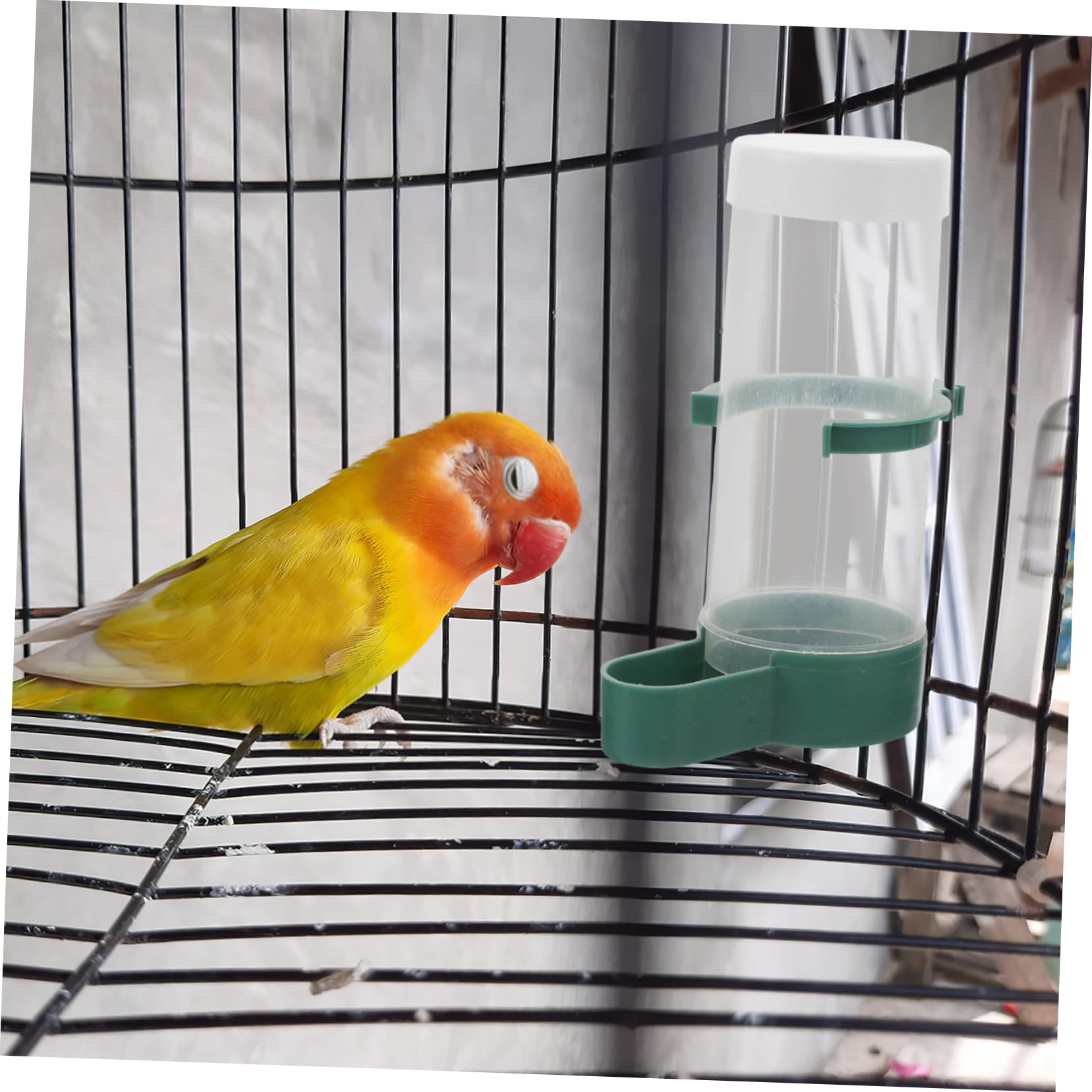Alasum 20stücke Automatischer Vogelfutterspender Und Wasserspender Für Käfige Praktische Futter Und Wasserbehälter Für Papageien Wellensittiche Nymphensittiche Kanarienvögel Und