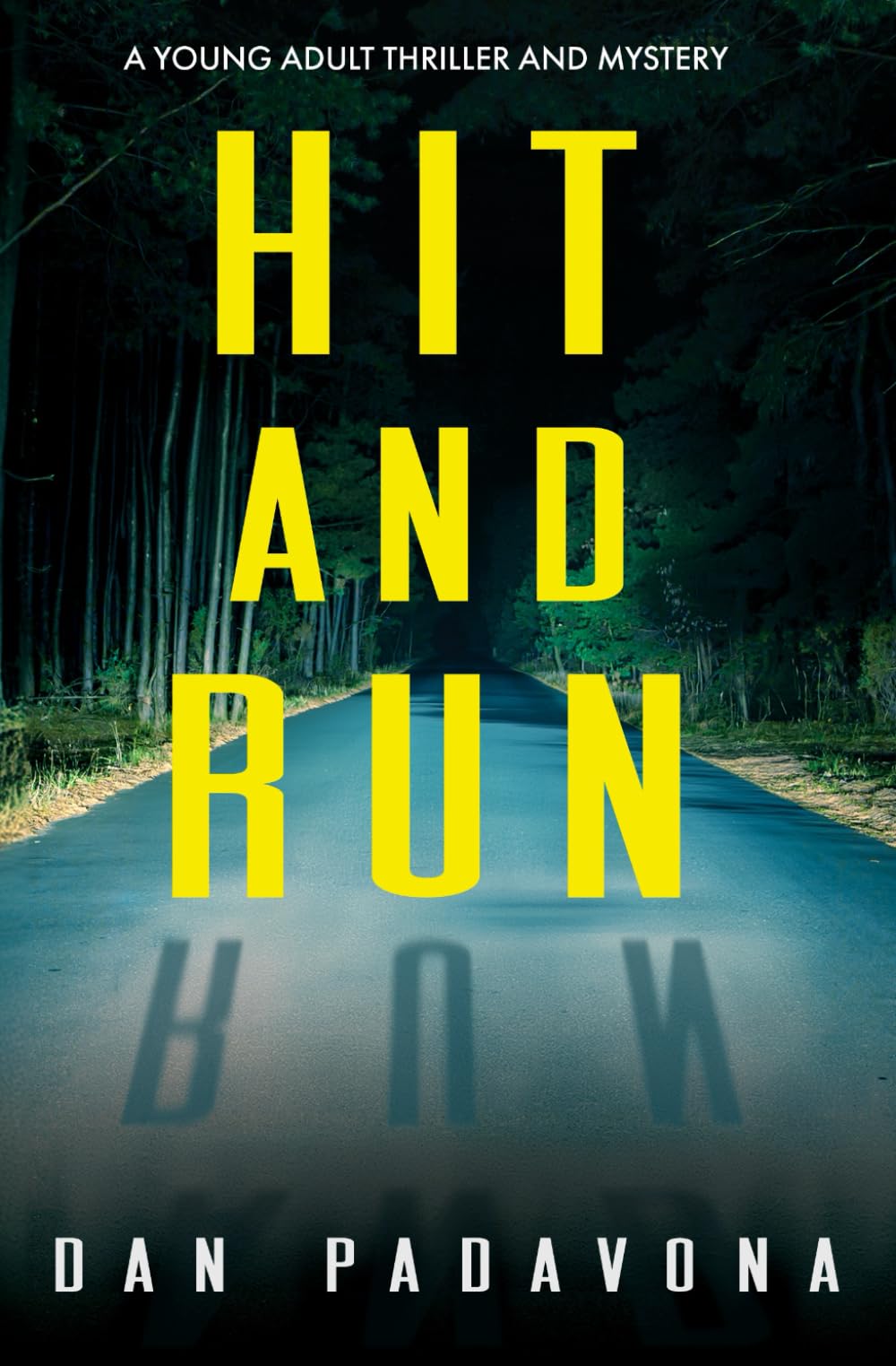 Hit and Run: A young adult thriller and mystery (Scout Mourning Thriller Books for Teens)