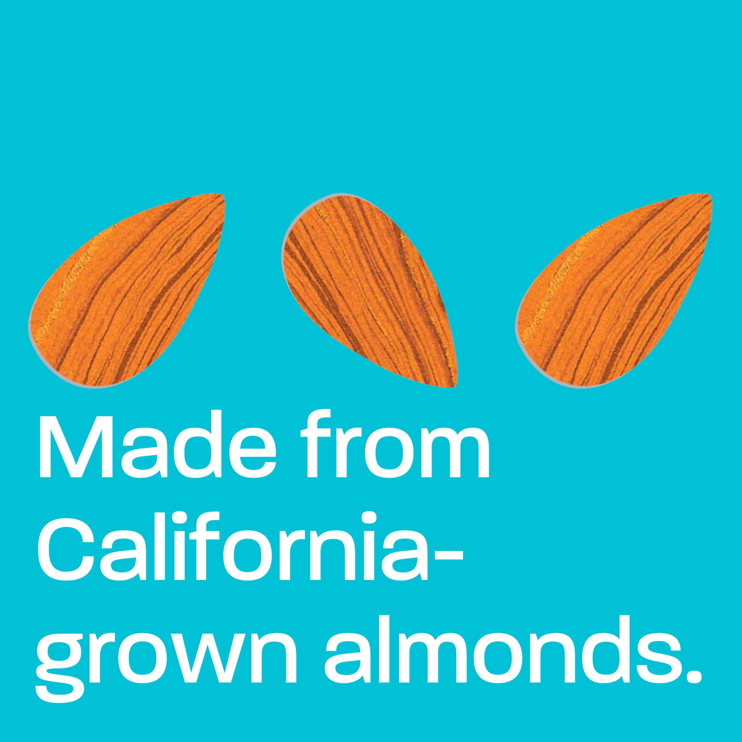 Kite Hill Plain Almond Milk Cream Cheese Style Spread 8 Ounces Dairy Free Whole 30 Approved Gluten Free — view 5