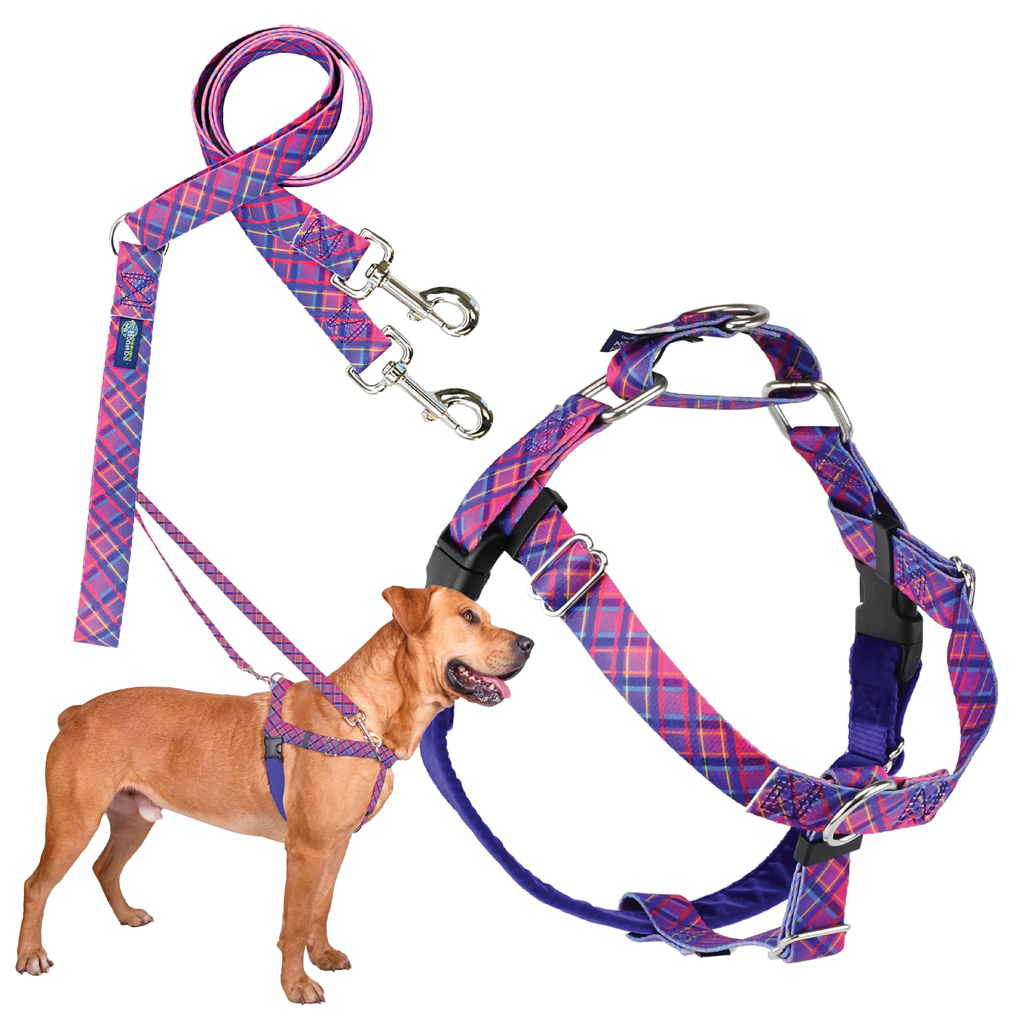 2 Hounds Design - Freedom No-Pull Harness & Training Leash in Pink and Purple | Dual Leash Loops, No Pulling on Walks | Lined to Prevent Chaffing |