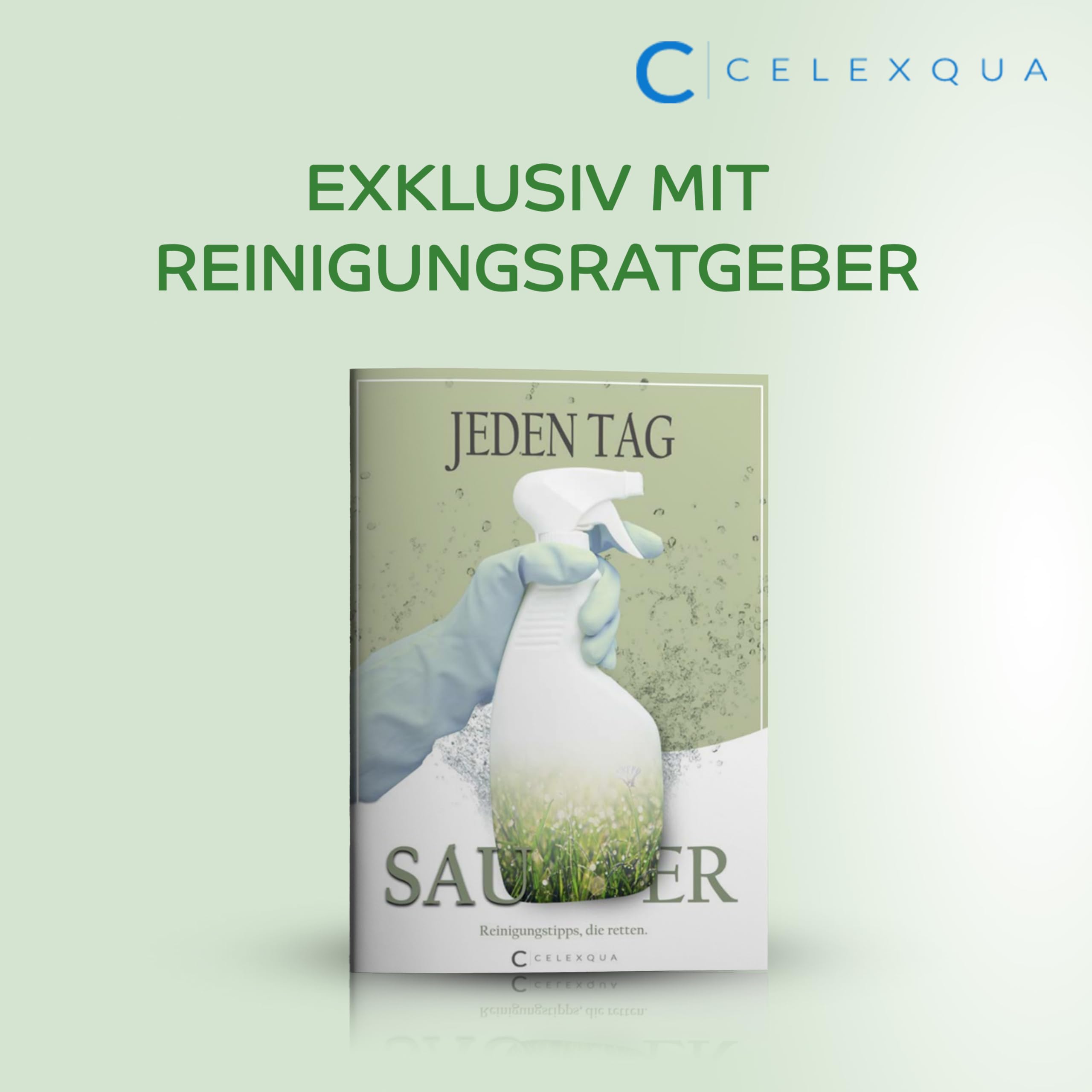 Frosch Wie Gallseife Fleckenspray 500 ml, 8er Pack (8 x 500 ml) - Effektiv gegen Flecken, biologisch abbaubar und Celexqua Reinigungsratgeber (e-Book)