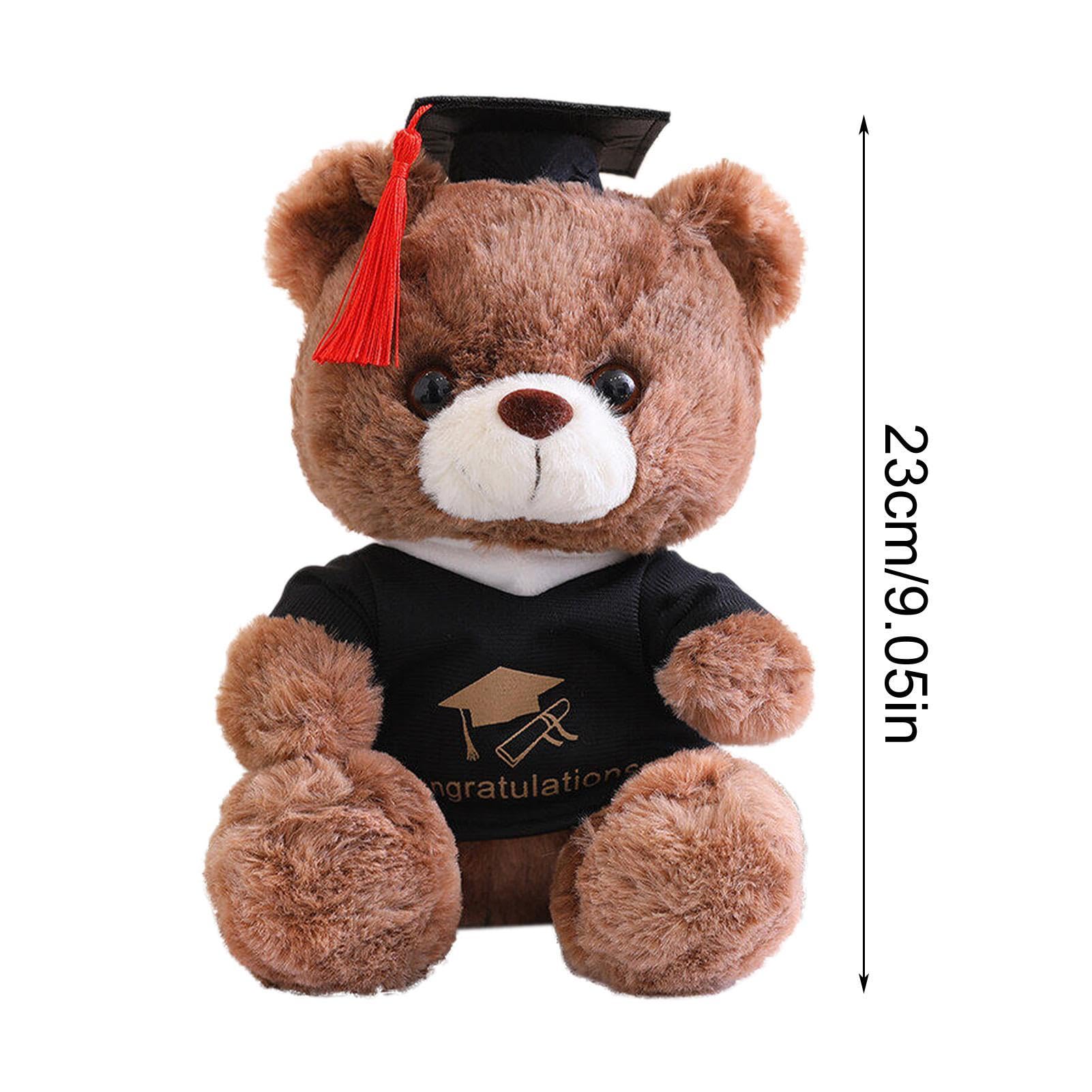 Orsetto Laurea Peluche Orso Di Laurea Imbottito, Orso Di Laurea Imbottito Orso Di Laurea Pimpicchiato Animale 199141