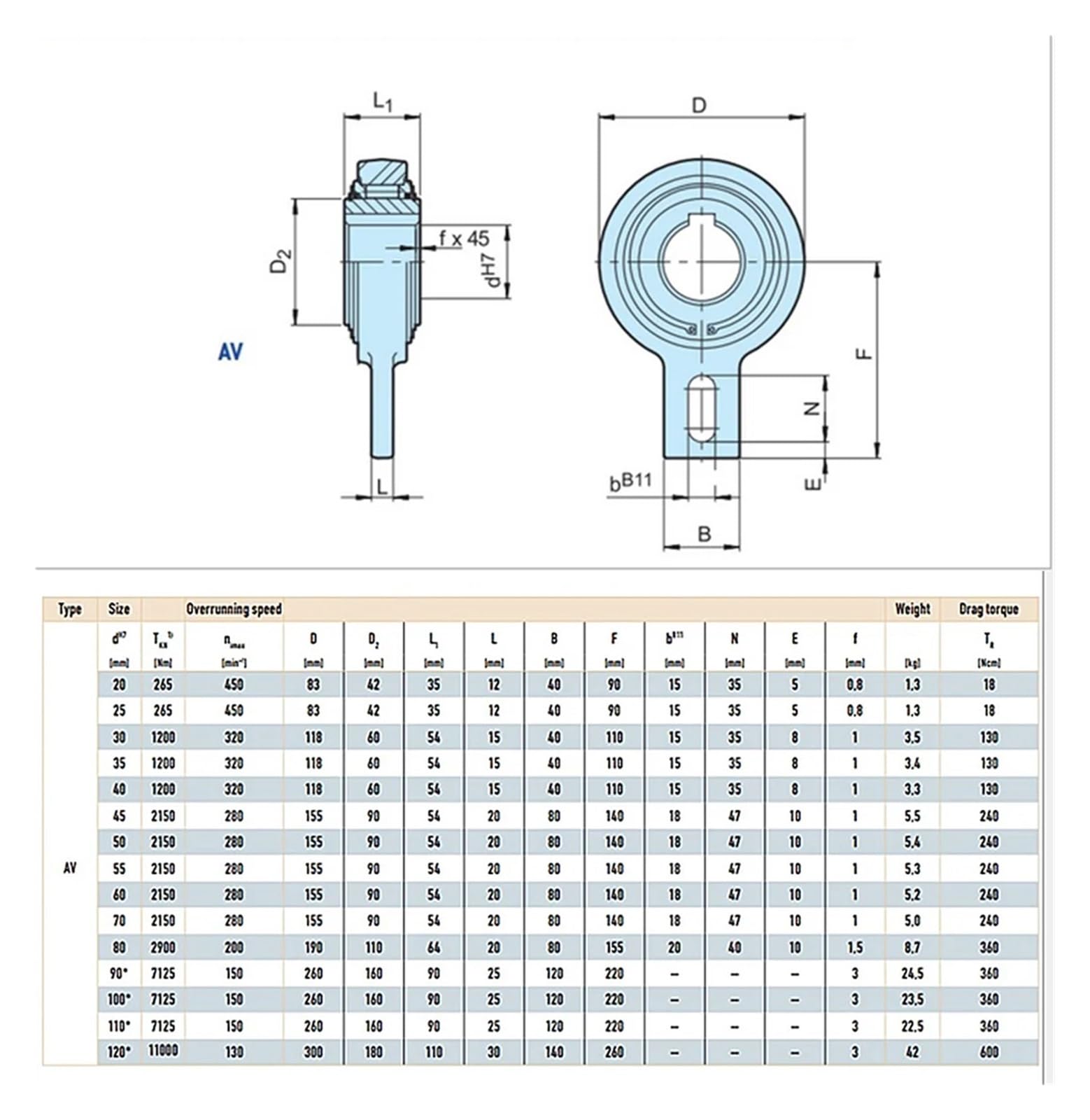 Cojinete unidireccional GV40