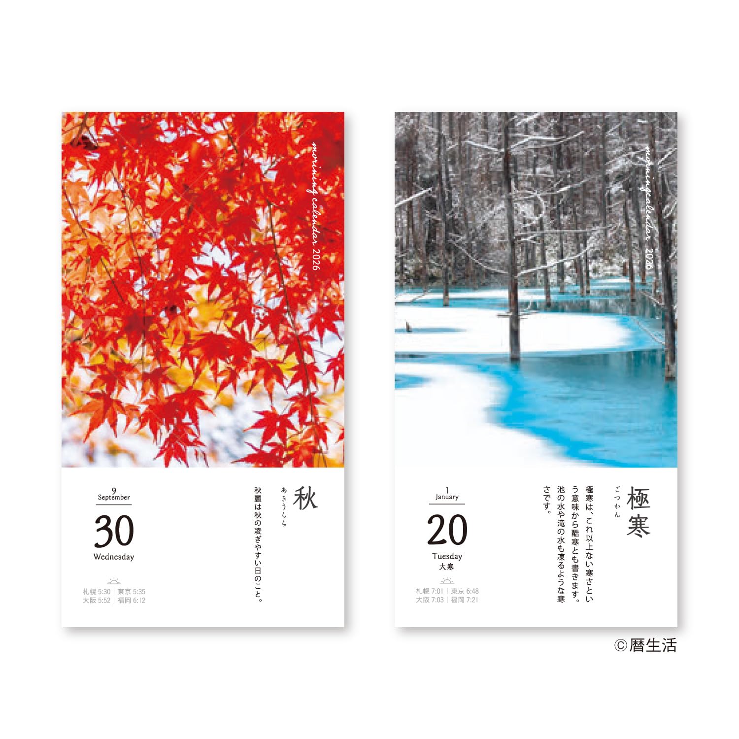 Amazon.co.jp: Shin Nihon Calendar 2026 Calendar Daily Flip Morning