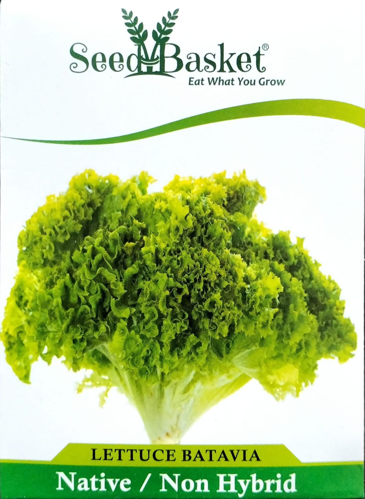 Exotic Lettuce Green Leaf/Batavia Seeds for Home Gardening (400 Seeds with More than 70% Germination) And Instruction Manual-image-47