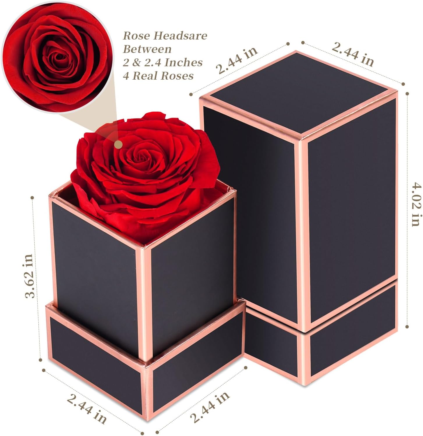 Rosa Eterna Preservada Con Caja De Joyería - Regalo Para Madre, Novia O Amiga