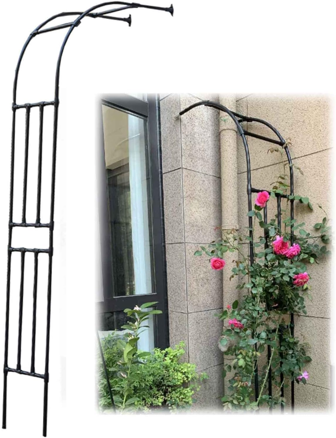 Tonnelle murale pour plantes grimpantes et tuteurage de vignes
