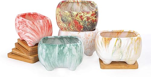 Miniatura 3 de ARTKETTY Macetas para suculentas, macetas pequeñas para suculentas de 4.7 pulgadas con drenaje rectangular para cactus con bandejas de bambú,