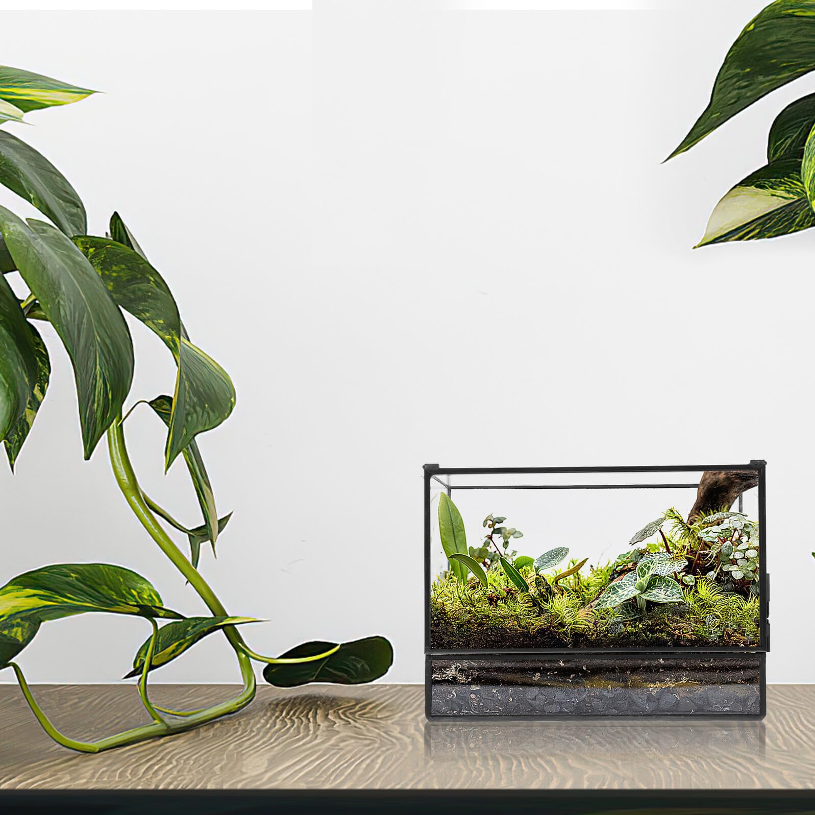 Hohopeti Handgefertigter Glas Terrarium behälter Mikro Landschaft Ökologische Pflanzendekoration Moos Terrarium für Wohnzimmer Büro Balkon Vielseitig Nutzbar