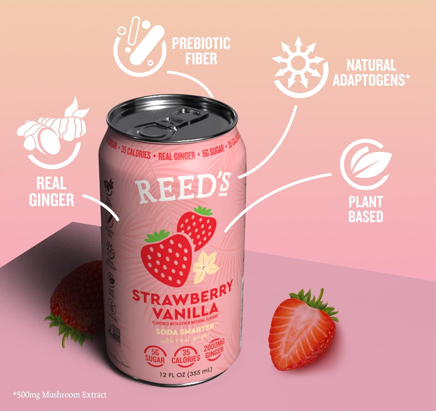 Reed's Strawberry Vanilla Functional Soda - Organic Ginger, Adaptogen Mushroom Blend, Prebiotics - 12oz Cans, 12-Pack