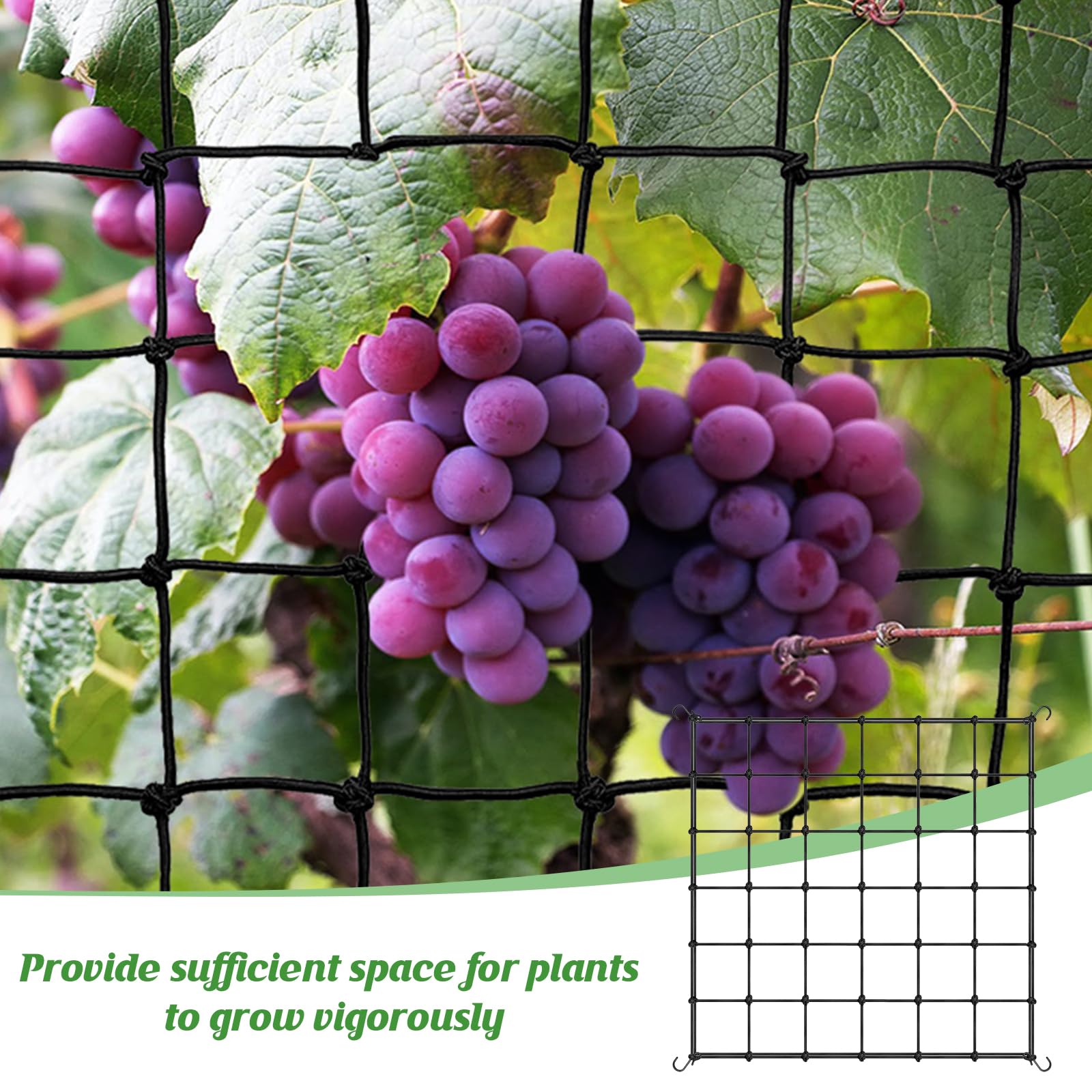 Rete Rampicante Per Orto - Supporto Per Piante In PVC A Maglia Larga 14x16cm - Foto 8