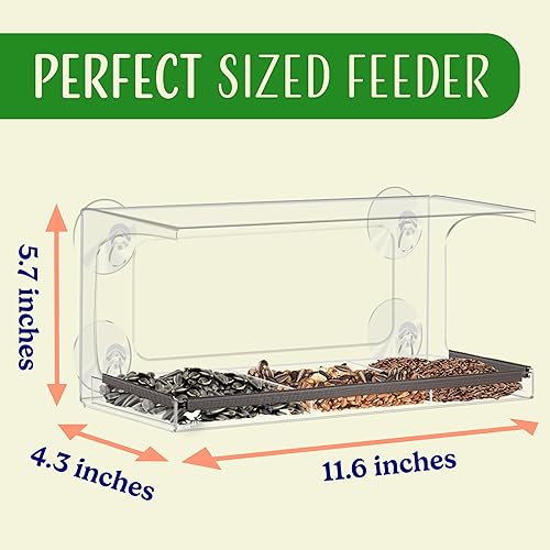 Miniatura 19 de Ventana para alimentar pájaros con bandeja extraíble, con orificios de drenaje y 3 tazas de extra succión Nature's Hangout Gran tamaño, 100%