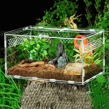 MIRU 飼育ケージ 20240525023208_24_1.jpg