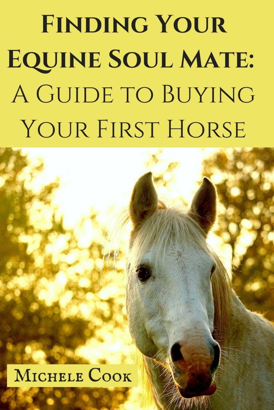 Finding Your Equine Soulmate: A Guide to Buying A Horse