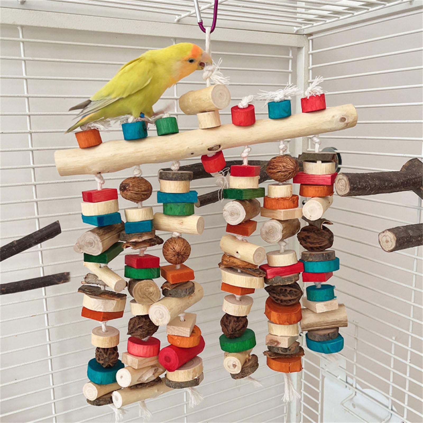 PANGBOER Jouet à mâcher pour oiseaux de compagnie - Bloc naturel coloré pour calopsittes conures cacatoès - Grincement des dents - Parfait pour cage - Jouet pour perroquets pour perruches, calopsittes