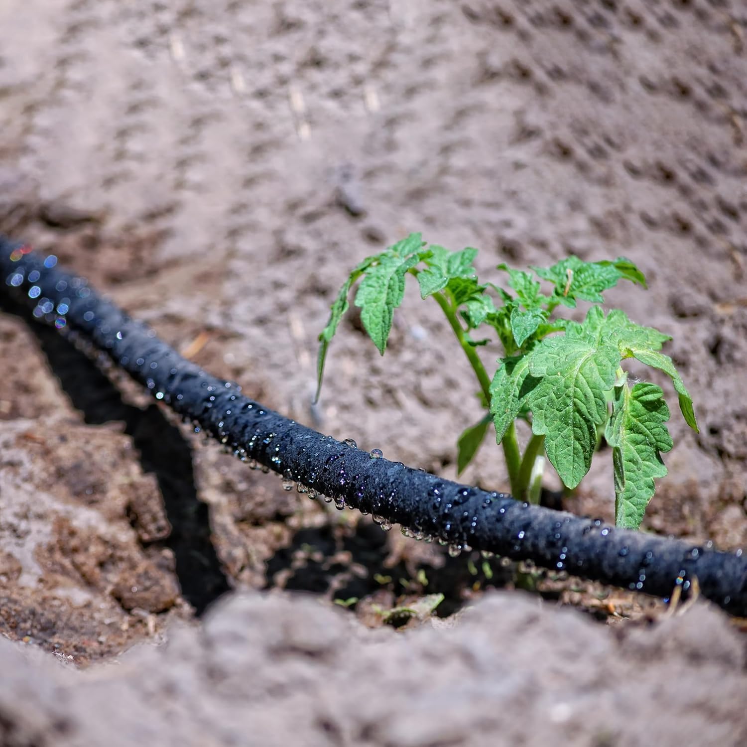 Atlantic Short Soaker Hose 15 FT x1/2" Garden Soaker Hose, Water Seeper Hoses for Foundation Watering, Garden Beds, Garden, Lawn and Plants-Solid Brass Connectors