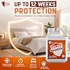 Bed Bug Killer Spray | 5 لتر | العلاج الكامل لإنهاء دورة حياة بق الفراش والبيض والحوريات | آمن للاستخدام على المراتب والفراش والسجاد | غير ملون & منخفضة الرائحة | تطبيق سريع وسهل