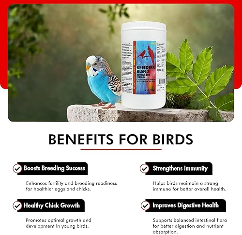Morning Bird Breeders Blend 0.5 oz – Protein Supplement for Birds – Supports Breeding, Chick Growth, Muscle Development & Immune Support – Daily Vitamin Blend for Strong Bones & Overall Health(8 Ounces)