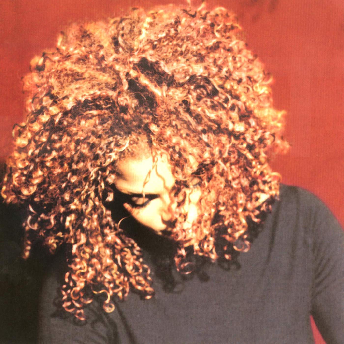 (USED)JANET THE VELVET ROPEレコード2枚組オリジナル盤 The Velvet Rope [輸入盤][2LP/ブラック・ヴァイナル][数量限定