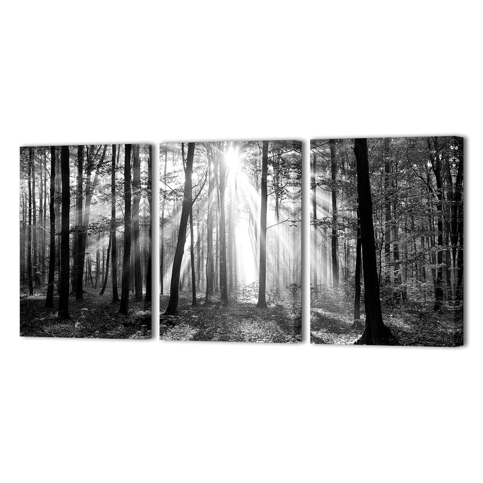 SkenoArt Black and White Tree Canvas Wall Art Forest in Foggy Pictures Landscape Wall Decor Artwork for Living Room Office Decoration Ready to Hang