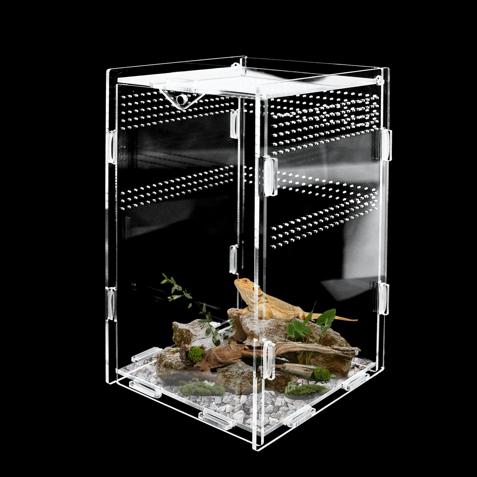 Godneei Acrylic Reptile Terrarium 12 x 12 x 20 cm, Reptile Vivarium, transparent