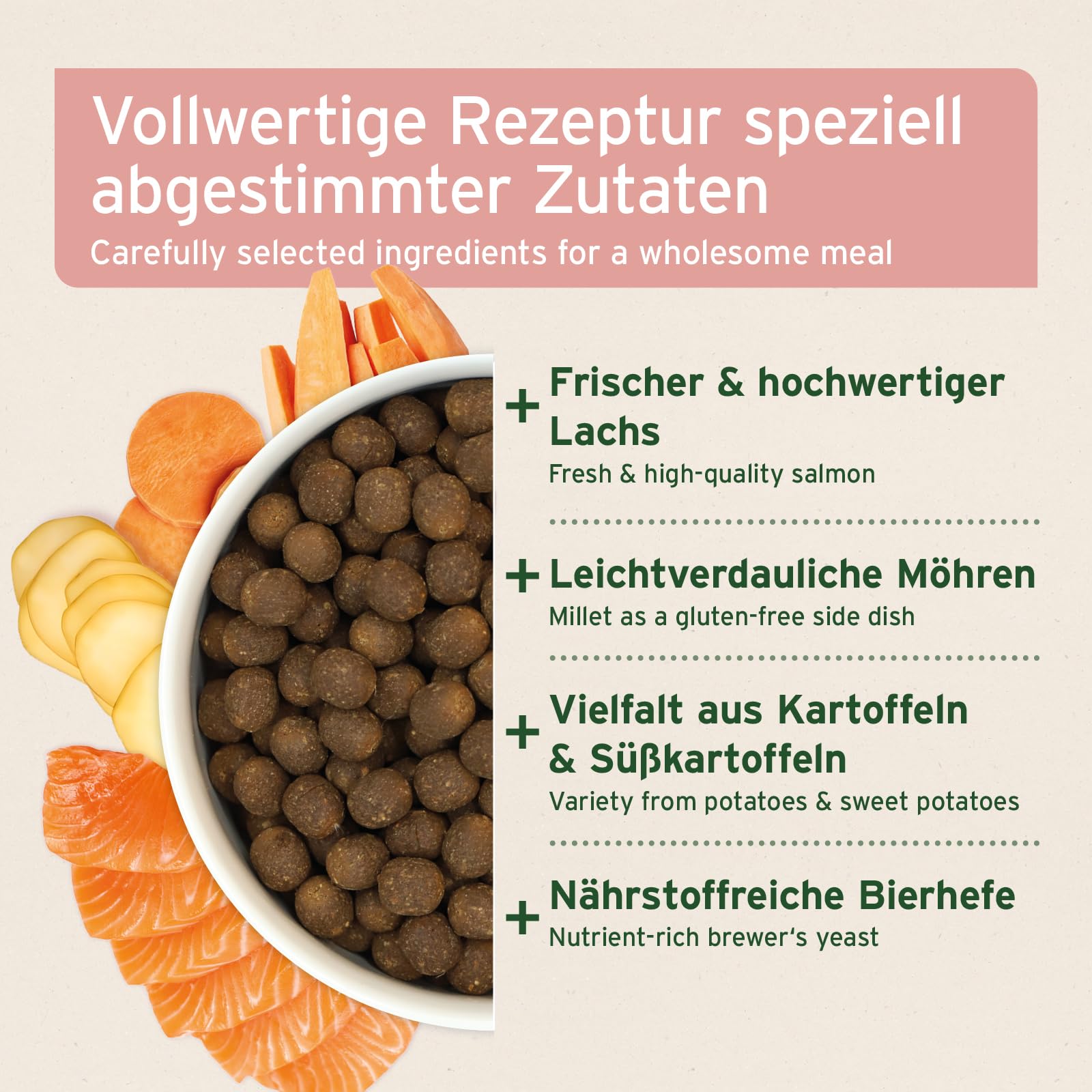 AniForte Lachs Trockenfutter für Hunde 12,5kg – Frischer Lachs mit Kartoffeln & Vitaminen, Halbfeuchtes Trockenfutter, Hundefutter trocken getreidefrei & glutenfrei für Allergiker