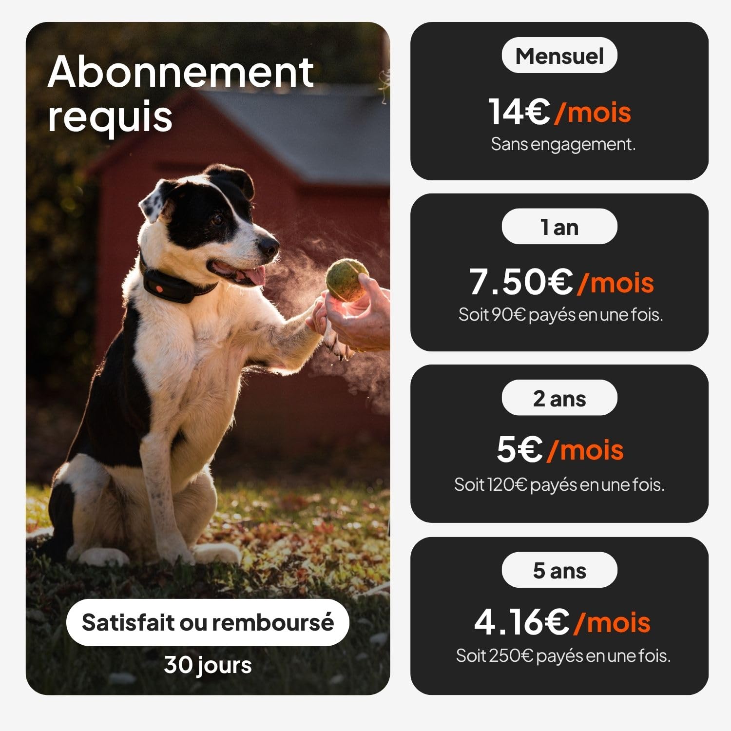 Weenect Chien XT - Nouveau Collier GPS pour Chien | Antenne XL | Etanche | Collier Hyper résistant intégré Julius-K9 | Garantie à Vie | Abonnement Requis