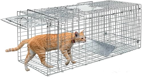 Trampa humana para gatos callejeros de 24 x 8 x 7 pulgadas, trampa para animales vivos para gatos, mapache, possum, conejo, ardilla, ratón, trampa