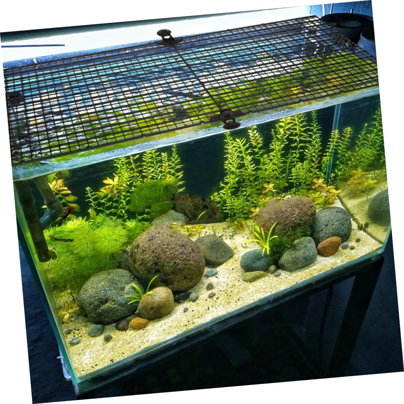 Toyvian 4sets Plastic Aquarium Divider with Clips Isolation Grate for Fish Tank Bottom Grid for Aquascaping and Mixed Breeding