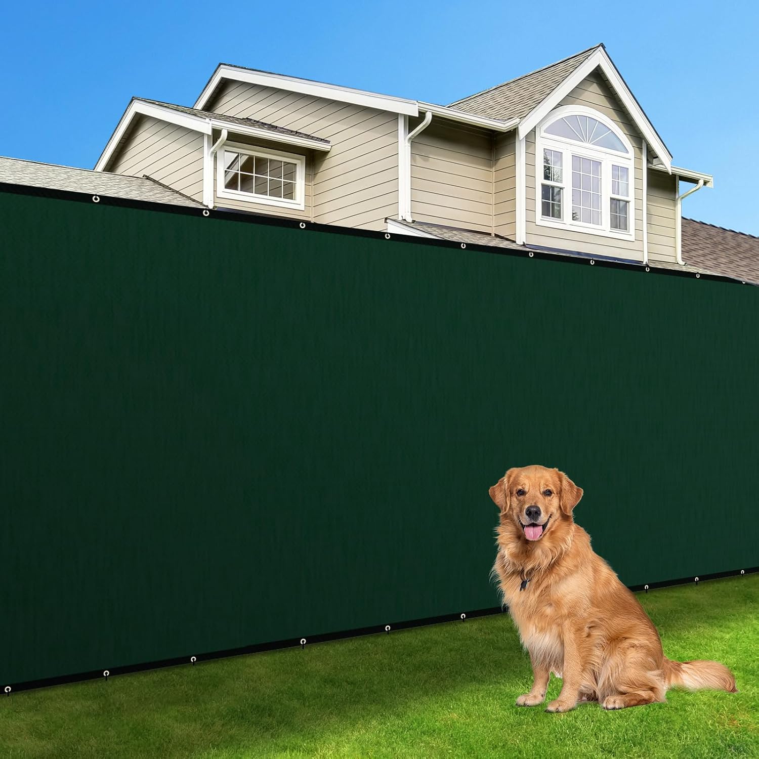 Amagabeli Privacy Screen 6' x 50' Fence Commercial Shade Cover with Brass Grommets Heavy Duty Perfect for Outdoor Back Yard Customizable Home Decoration Dark Green
