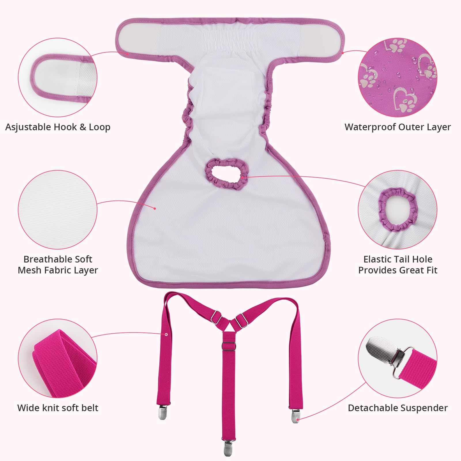 Lyneun 3 Pack Dog Nappies Female with Suspender, Reusable Dog Incontinence Pants - Image 3