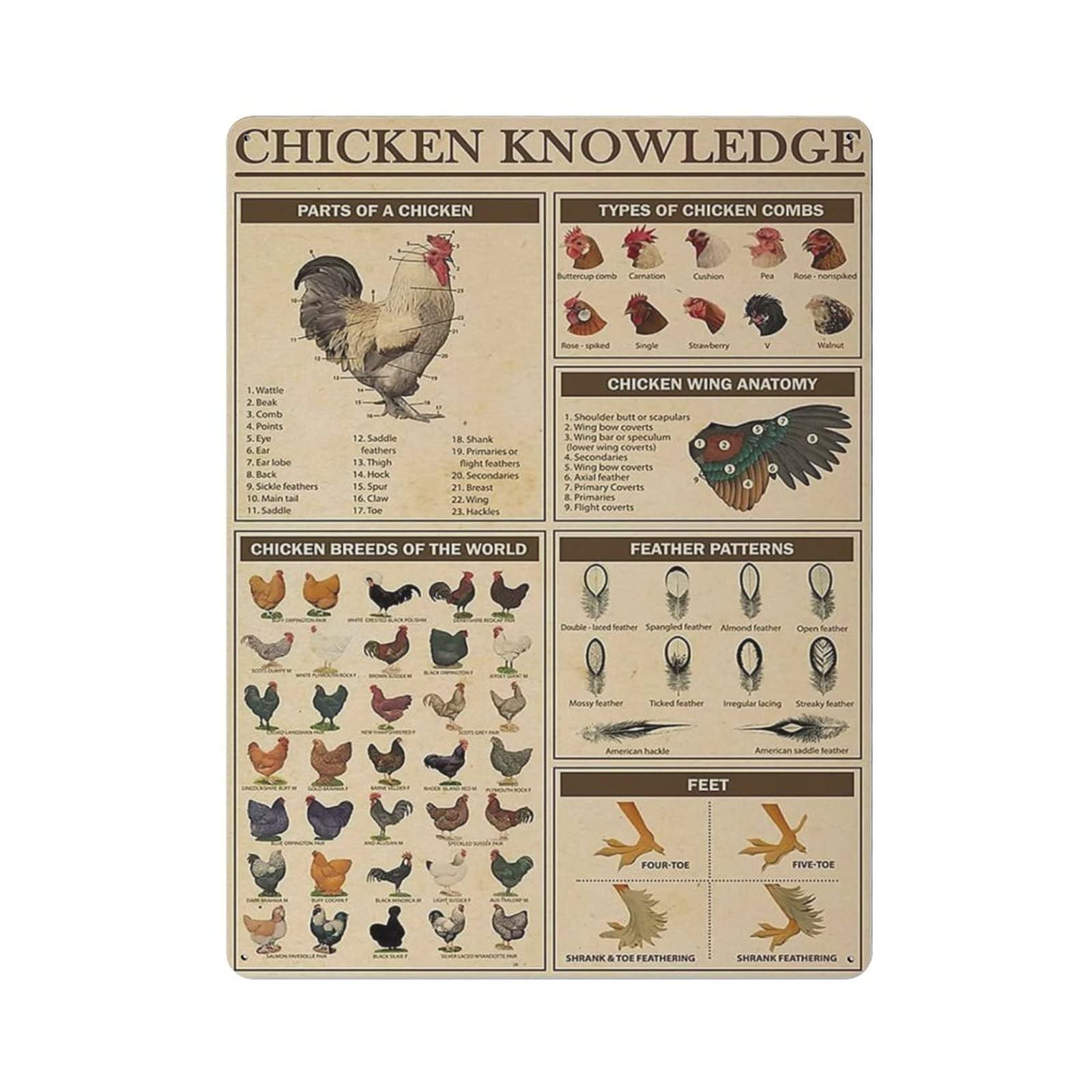 AOOEDM Chicken Knowledge Vintage Tin Sign Metal Tin Signs for Man Cave Funny Art Wall Plaque Kitchen Bar Pub Coffee Shop Wall Decor
