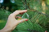 Vista 12 de Crystal Pyramid of Natural Rose Quartz Chakra Healing Stone, 1.5 inch