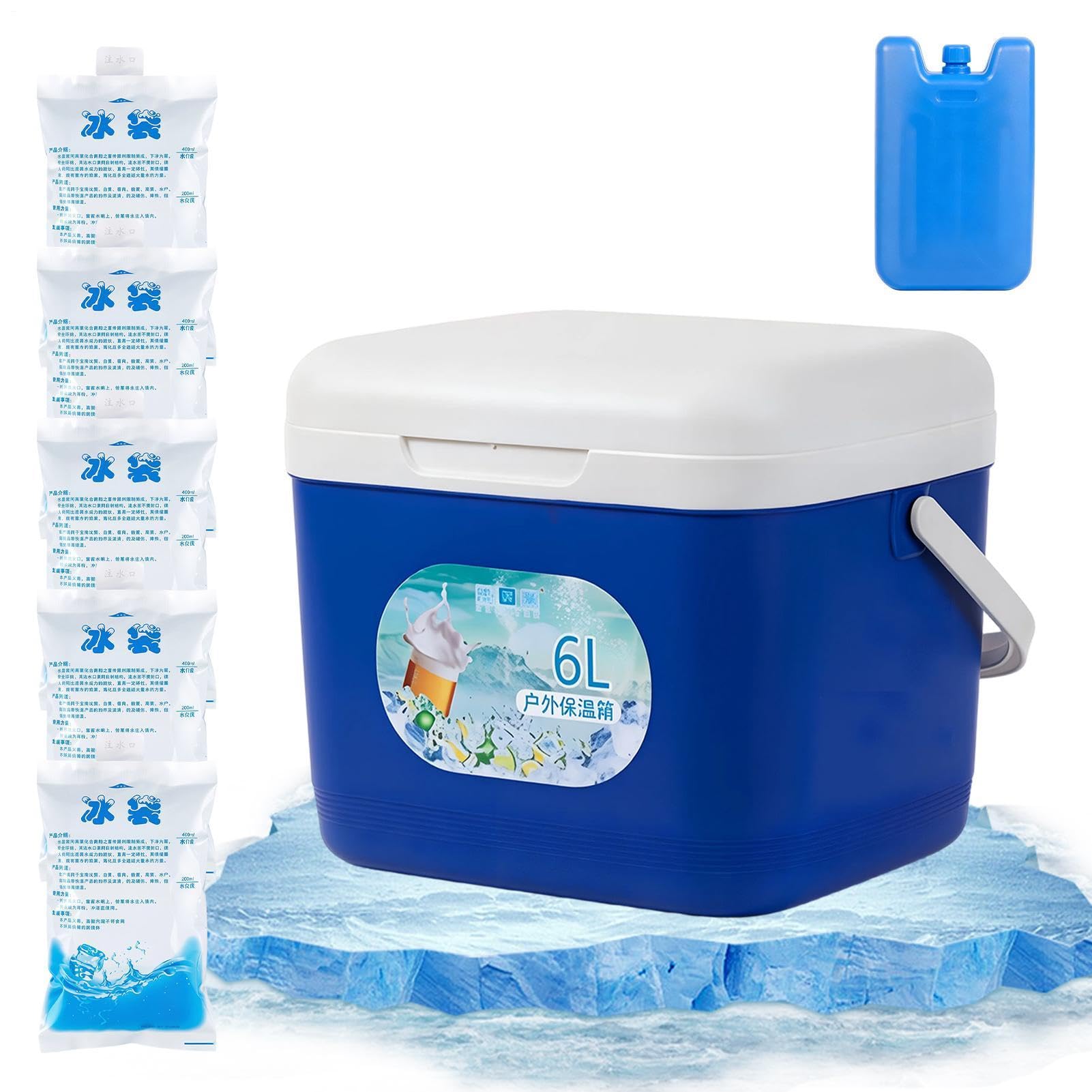 Termica 6L Box Isolato A Tenuta Stagna
