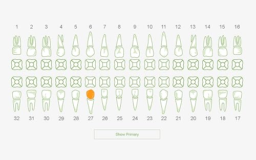 Dental Chart