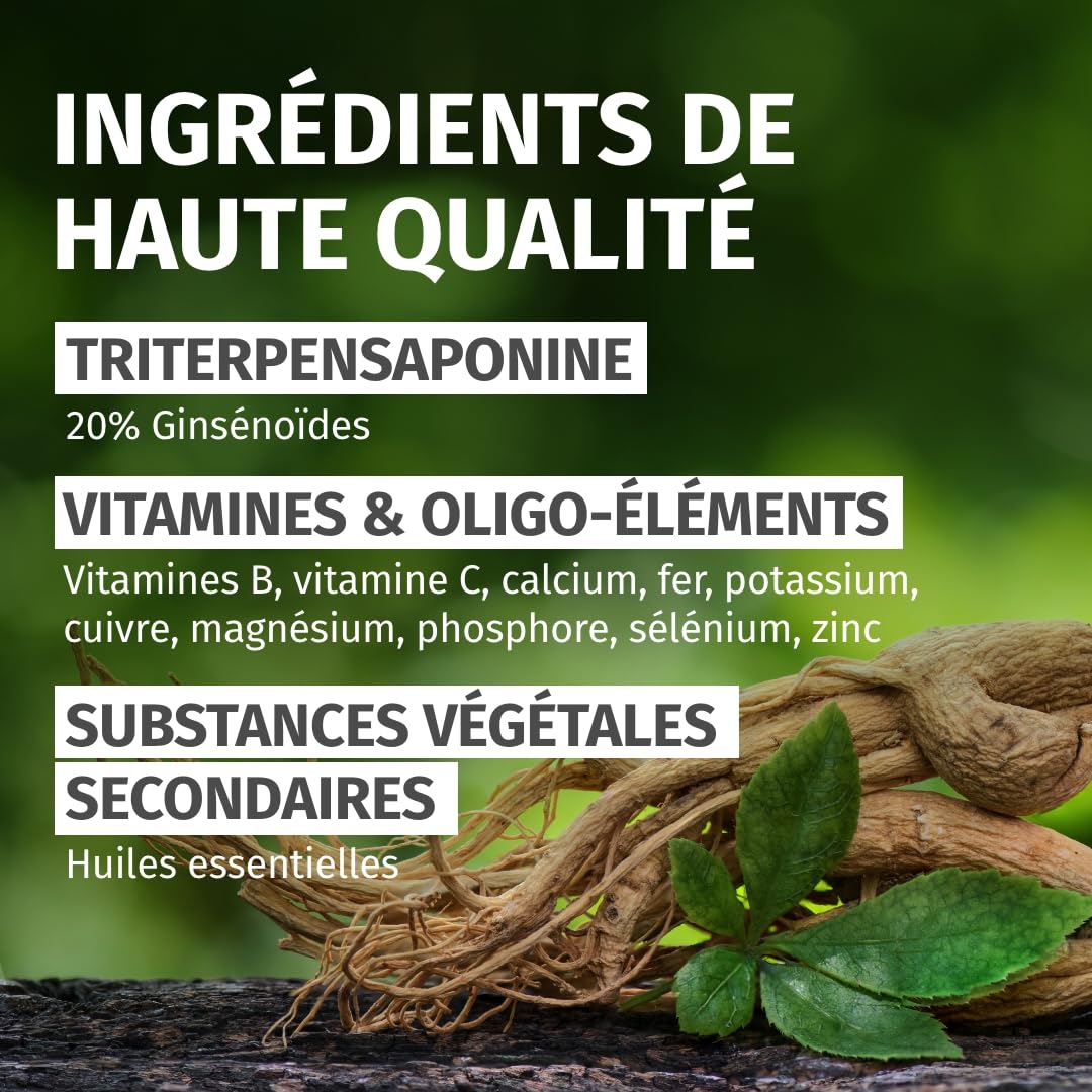 Green Naturals® Panax Ginseng – 2100 mg par dose journalière – 20% Ginsénosides – 180 gélules pour 2 mois – Extrait de racine Panax Ginseng C.A. Meyer