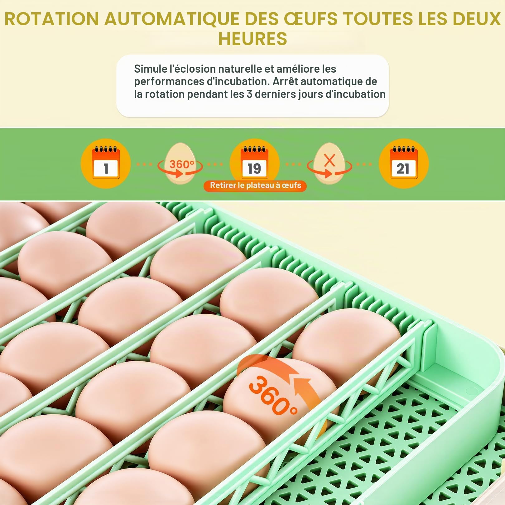 Sailnovo Couveuse pour 48 œufs entièrement automatique avec contrôle de la température et de l'humidité, rotation automatique - Incubateur d'œufs pour poulet, canard, caille - Pour la ferme, l'école