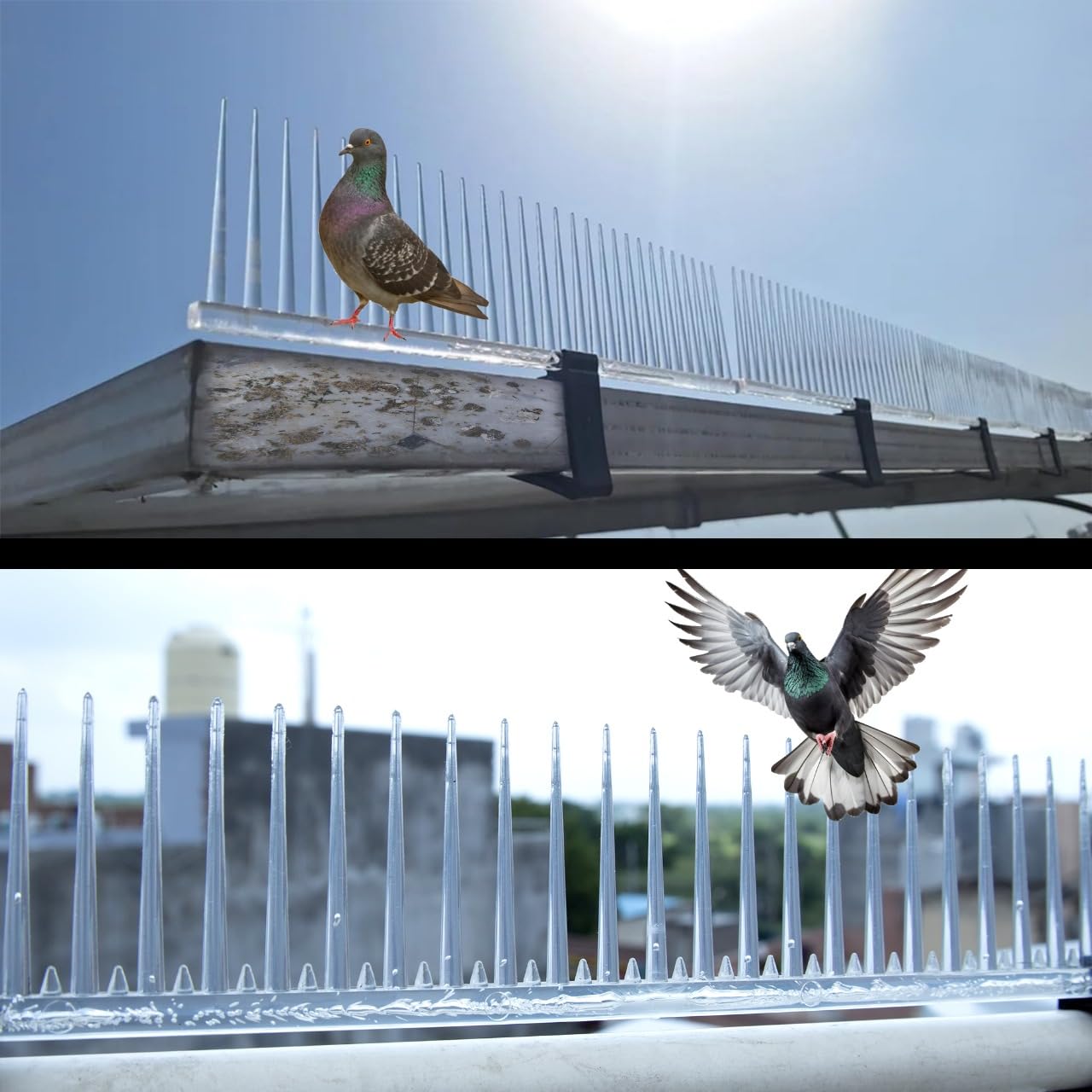 Seagullstopper Solar Panel Anti Bird Spike Universal Clip to fit with Any Size of Solar Panel Option Made by Polycarbonate Materials Transparent Size 1 feet Set of (Solar Panel Peck of 5 Piece)-image-16