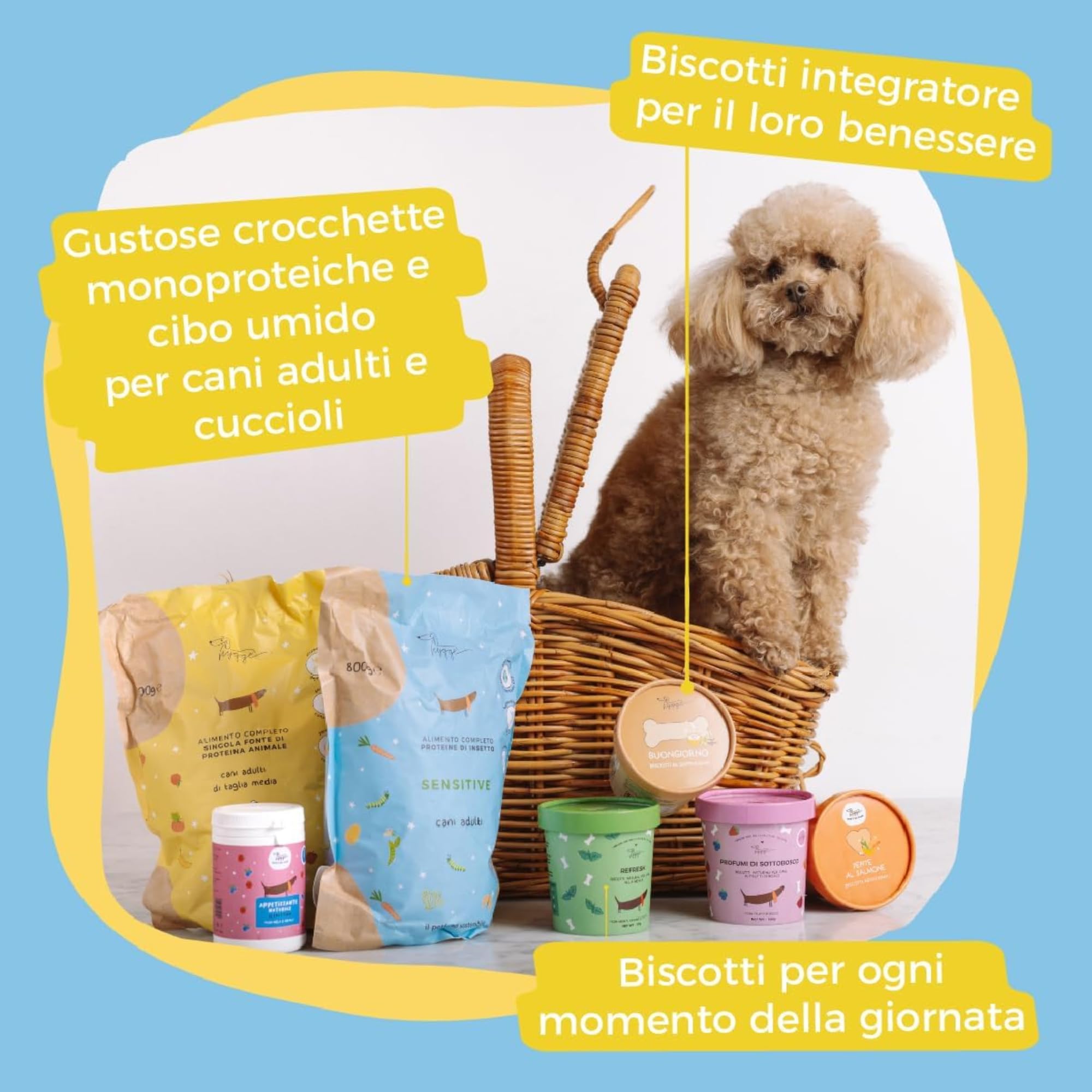 Hygge Dog Hundekekse für Hunde gegen Dermatitis | Reich an schwarzen Johannisbeeren für ein strahlendes und gesundes Fell | Funktioneller Hundesnack Geschmack Johannisbeere | 6 x 600g | italienisches