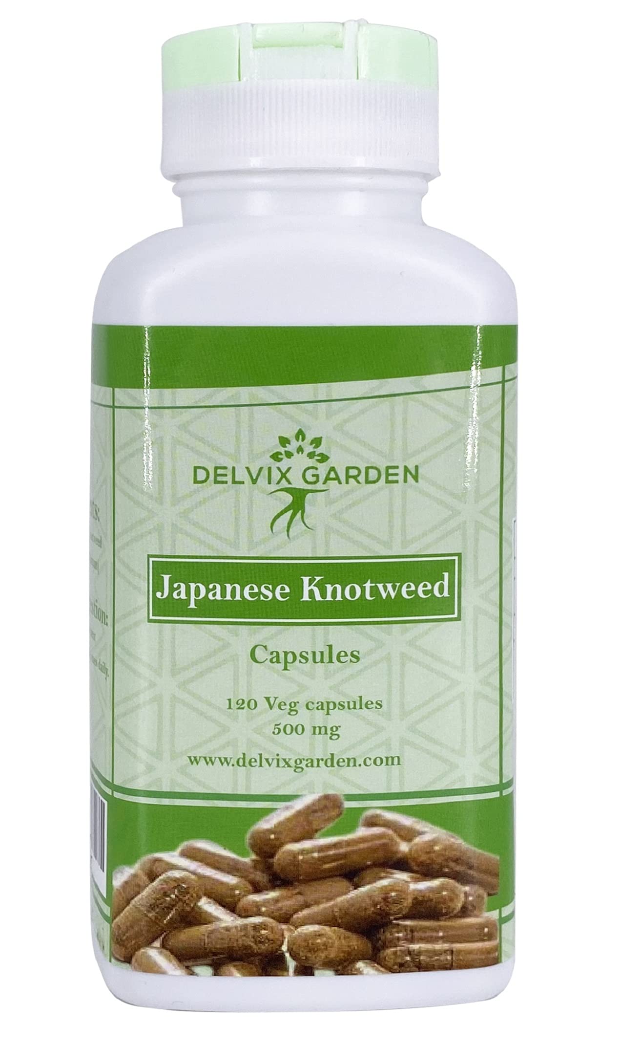 Buy 120 Japanese Knotweed s, 500mg Each Contains Pure Japanese