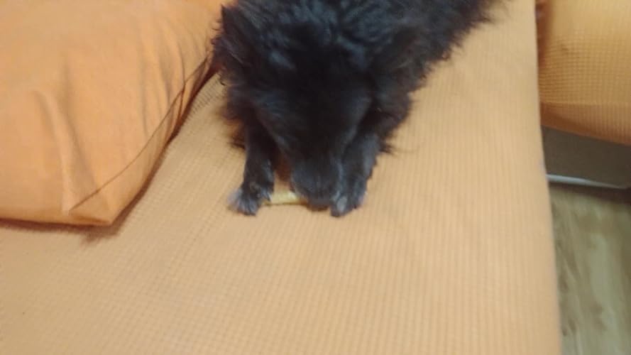Paw Natural Puur Gans Vleesreepjes Voor Honden, Training Traktaties Beloningen 150g. Graan En Glutenvrij Naturel Hondenvoer Voor Dieren Alle Rassen