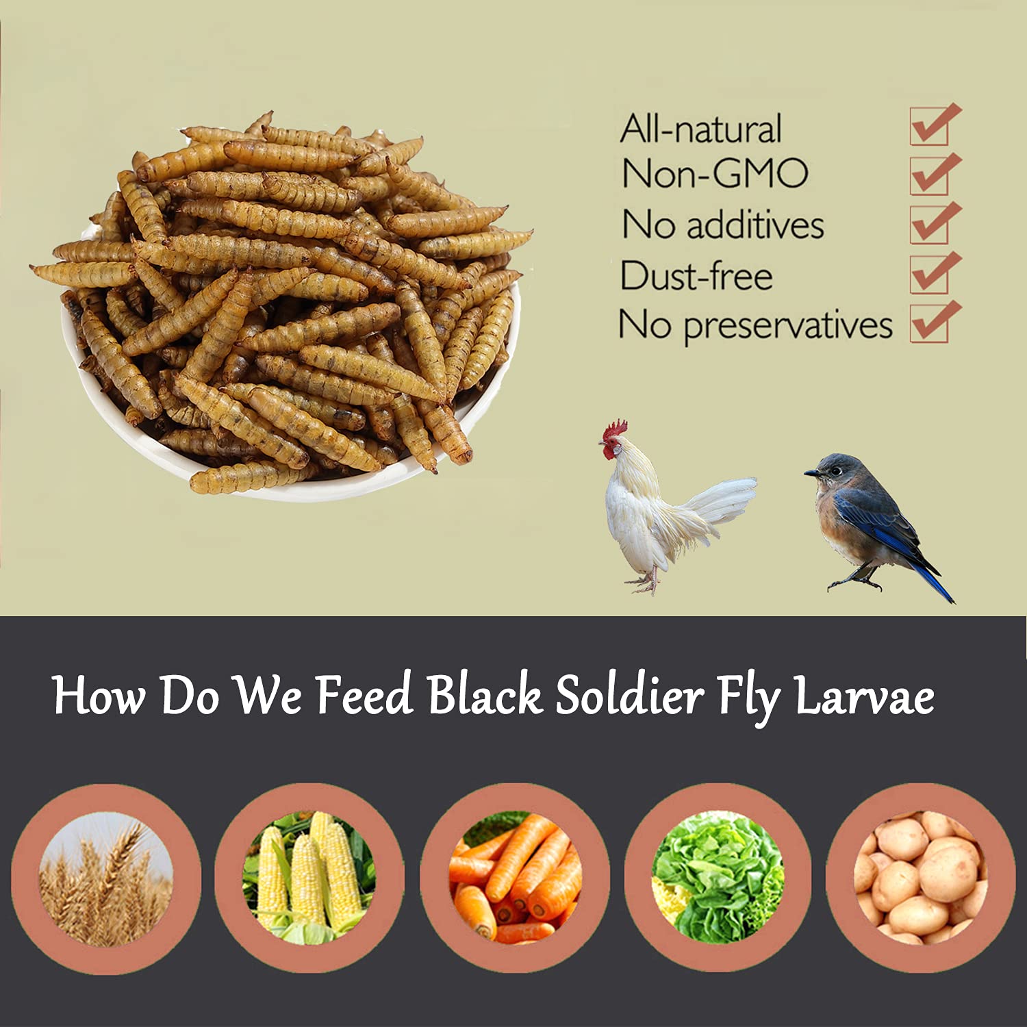 Euchirus Non-GMO High-Protein Large Dried Black Soldier Fly Larva for Chickens, Natural Grubs and Poultry Treats as Chicken Feed,Duck Food, Wild Birds Seed,Reptile Food(Black Soldier fly-20LB)